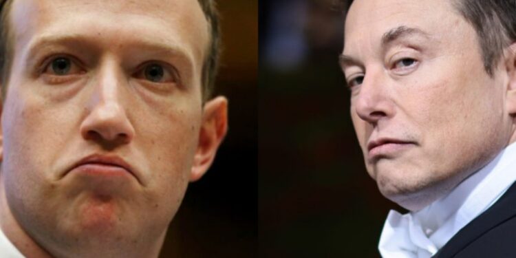 حلبة القتال تجمع بين مارك وإيلون ماسك