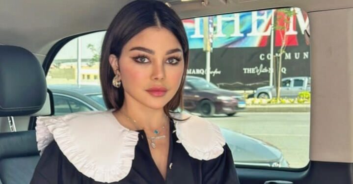 هيفاء وهبي ترفض التخلي عن ابنتها